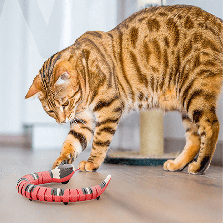 Brinquedo Cobrinha Inteligente Recarregável Para Gatos